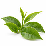 L-theanine